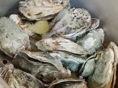 -东极岛海鲜