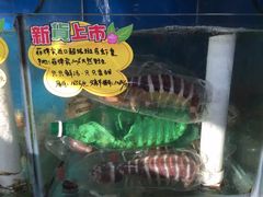 -蚝专家(北滘店)