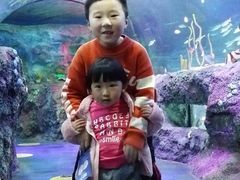 -沈阳海洋探索中心