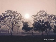 -南京晓庄学院(莫愁校区)