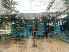 -秦皇岛野生动物园