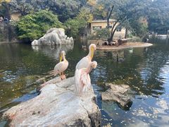 -昆明动物园