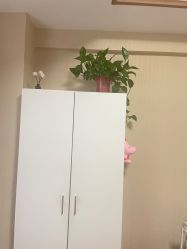 -Dr.林醫生产后修复·配方产康(南京江宁万达店)