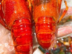 -霸王虾(湘江世纪城店)