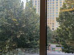 -食神鱼头佛跳墙(百子湾旗舰店)