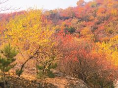 -北京西山国家森林公园