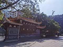 -深圳仙湖植物园