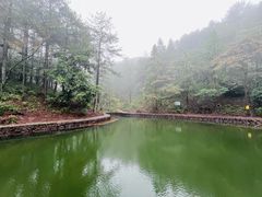 -四明山国家森林公园