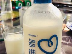 乳酸菌-新楚记