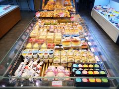 -幸福鸟动物奶油生日蛋糕(军校店)
