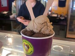 -Dooley's Premium Ice Cream