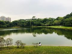 -东莞植物园