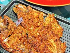 -向外鱼乐·土菜·虹鳟鱼