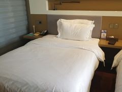 -麗枫酒店(武汉吴家山五环体育中心店)