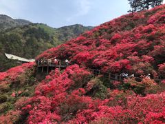 -木兰云雾山