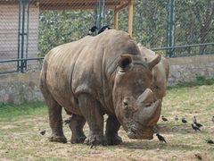 -大连森林动物园