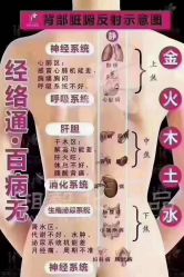 -香薇妮丝·定制减肥·身材管理