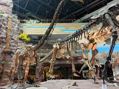 -安徽省地质博物馆