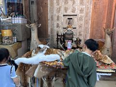 -乔家满族八大碗(流水沟店)