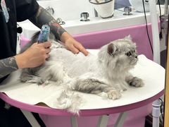 -FAELING PETS美天灵宠物(富力广场店)