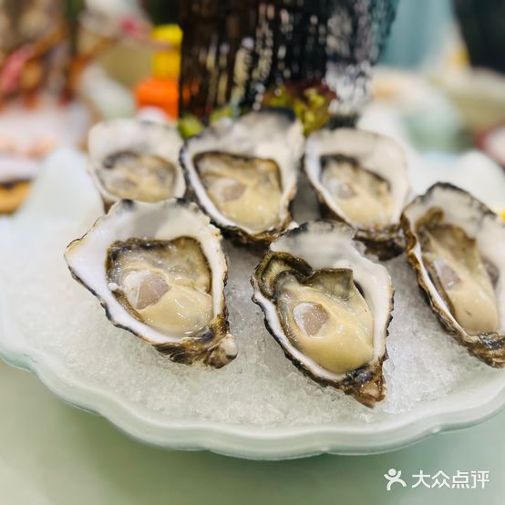 绿野仙盅·深海食材(朝南·维港半岛南区店)