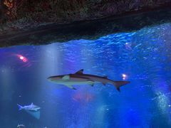 -沈阳海洋探索中心