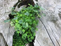 -墨尔本滨海港区