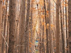 -采石矶景区