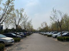 -东郊湿地公园