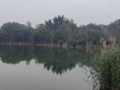 -绿堤公园