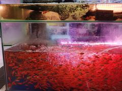 -三旗百汇商品城