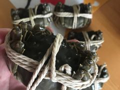 -喜洋洋蟹庄(阳澄湖店)