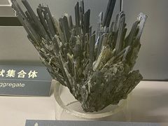 -中国地质博物馆