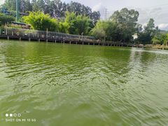 -观澜山水田园