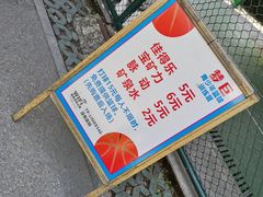 -曲阳公园篮球场·梦巨体育(虹口店)