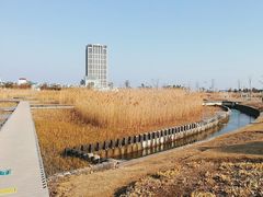 -鹦鹉洲湿地公园
