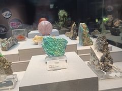 -湖南省地质博物馆