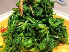 南京菊花脑-民国红公馆·秦淮八艳(夫子庙店)