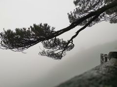 -三清山希尔顿度假酒店