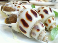 -海大大蒸汽海鲜餐厅·粤菜·特色小炒(欢乐颂店)