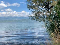 -西昌邛海湿地