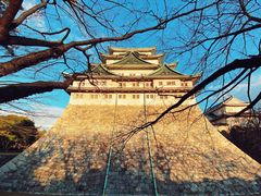 -名古屋城