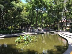 -常州古运河南大街文化旅游区-人民公园