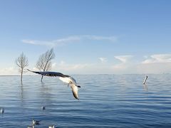 -青海湖二郎剑景区
