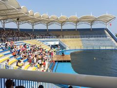 -北戴河圣蓝海洋公园