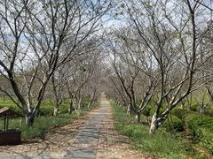 -凤凰沟景区