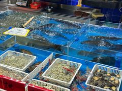 -明本湛江鸡•海鲜小厨(陈家祠店)