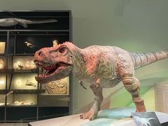 -香港科学馆