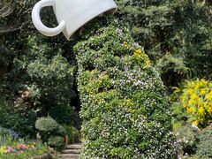 -深圳仙湖植物园