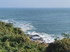 -东郊椰林
